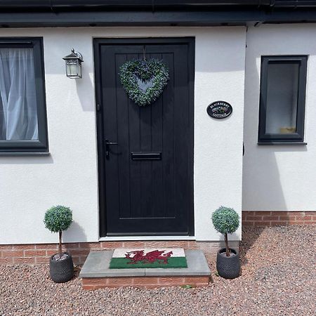 Blackberry Cottage Cardiff Exterior foto